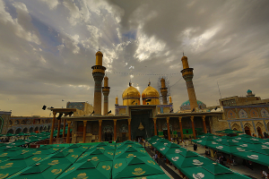 صورة رقم 16