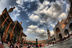 صورة رقم 526
