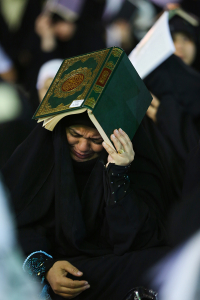 صورة رقم 561