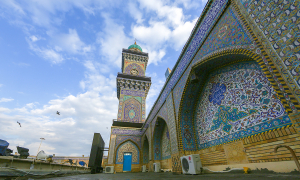 صورة رقم 14