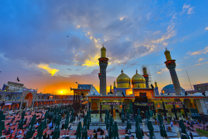 صورة رقم 10