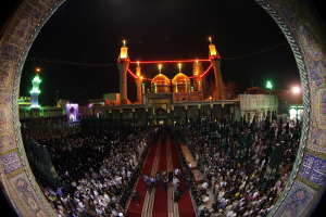 صورة رقم 520