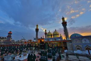 صورة رقم 12