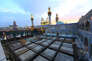 صورة رقم 11