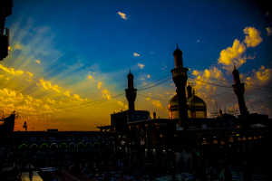 صورة رقم 521