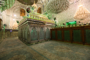 صورة رقم 630