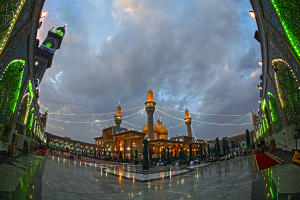 صورة رقم 519