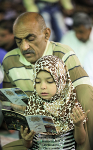 صورة رقم 569