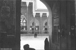 صورة رقم 492