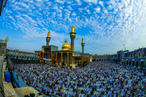 صورة رقم 522