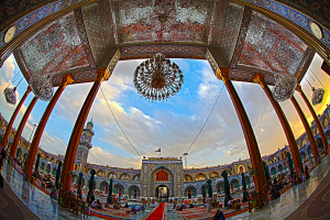 صورة رقم 518