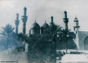 صورة رقم 493