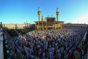 صورة رقم 626
