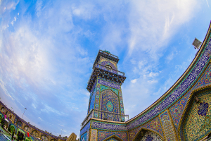 صورة رقم 528