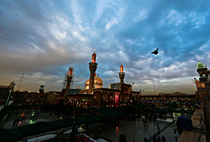 صورة رقم 7