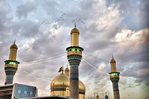 صورة رقم 6