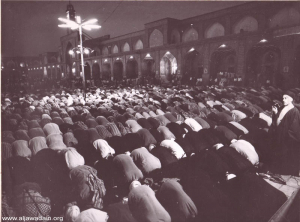صورة رقم 500