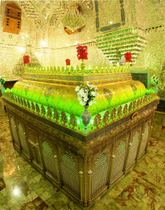 صورة رقم 634