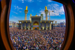 صورة رقم 765