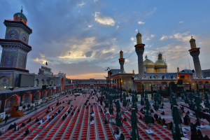 صورة رقم 8