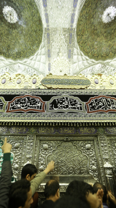 صورة رقم 308
