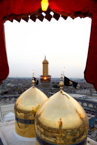 صورة رقم 529