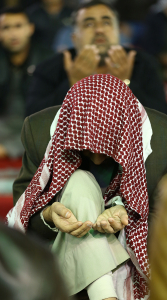 صورة رقم 566