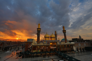 صورة رقم 19