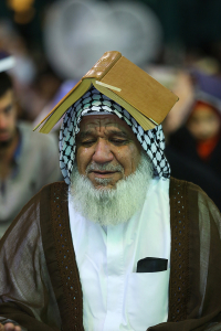 صورة رقم 558
